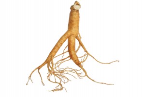 Ginseng